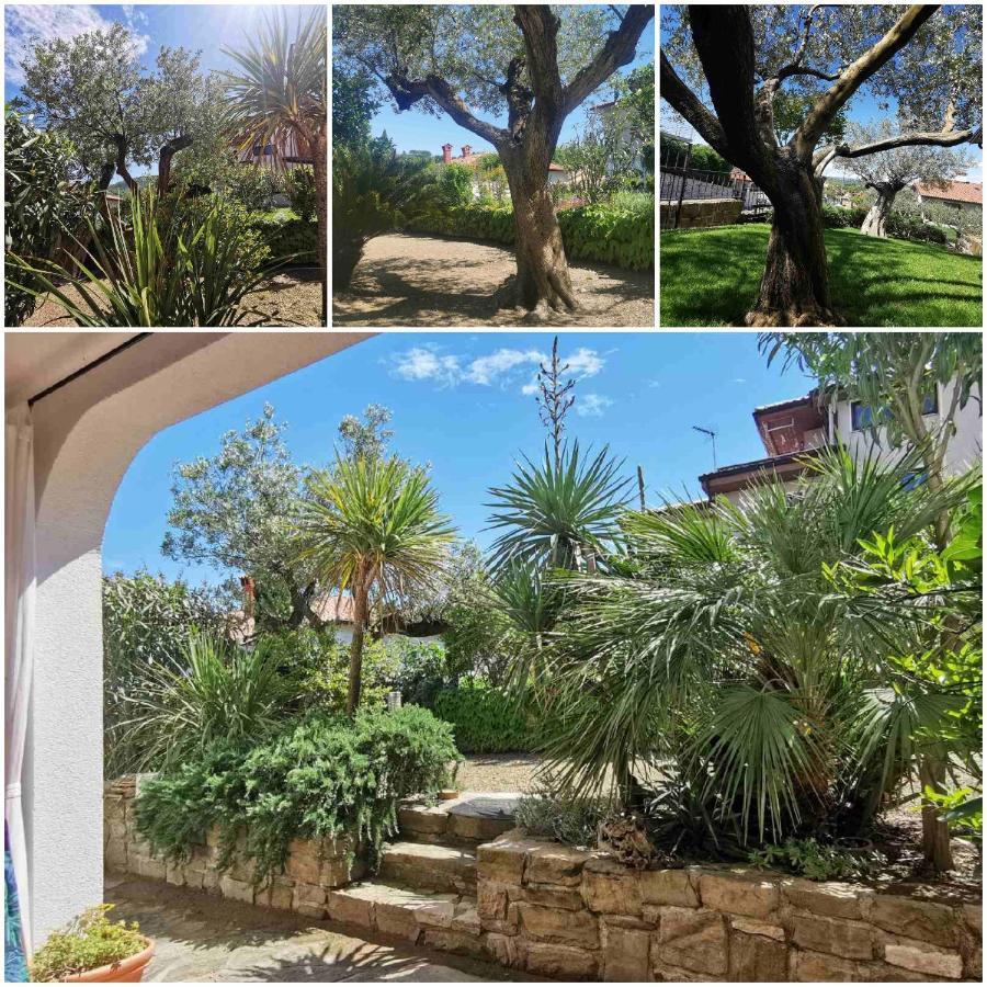 Salt & Sage Apartment Manzano Dış mekan fotoğraf